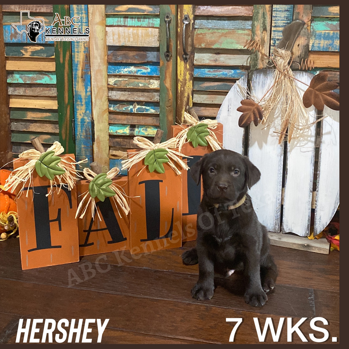 Hershey