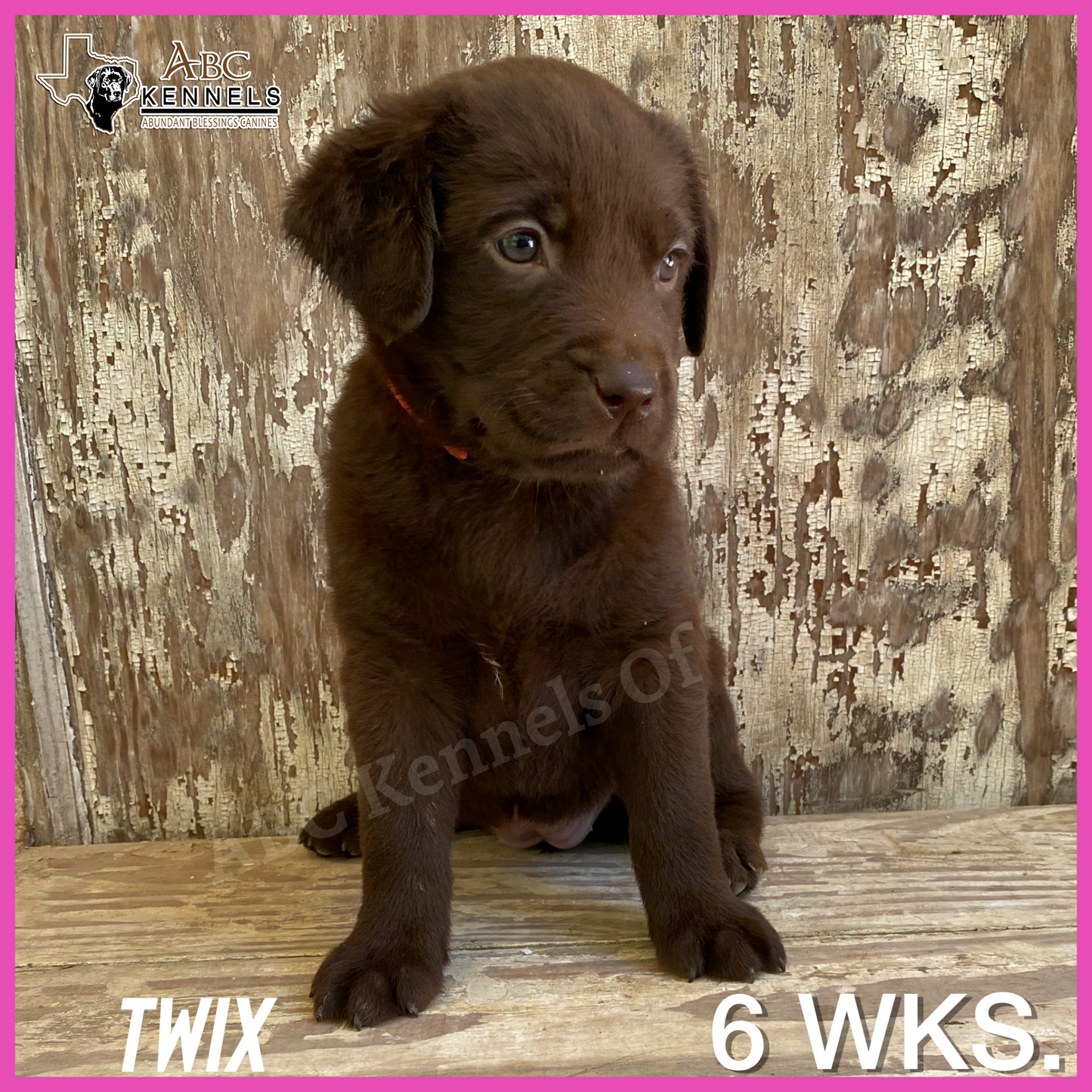 Twix