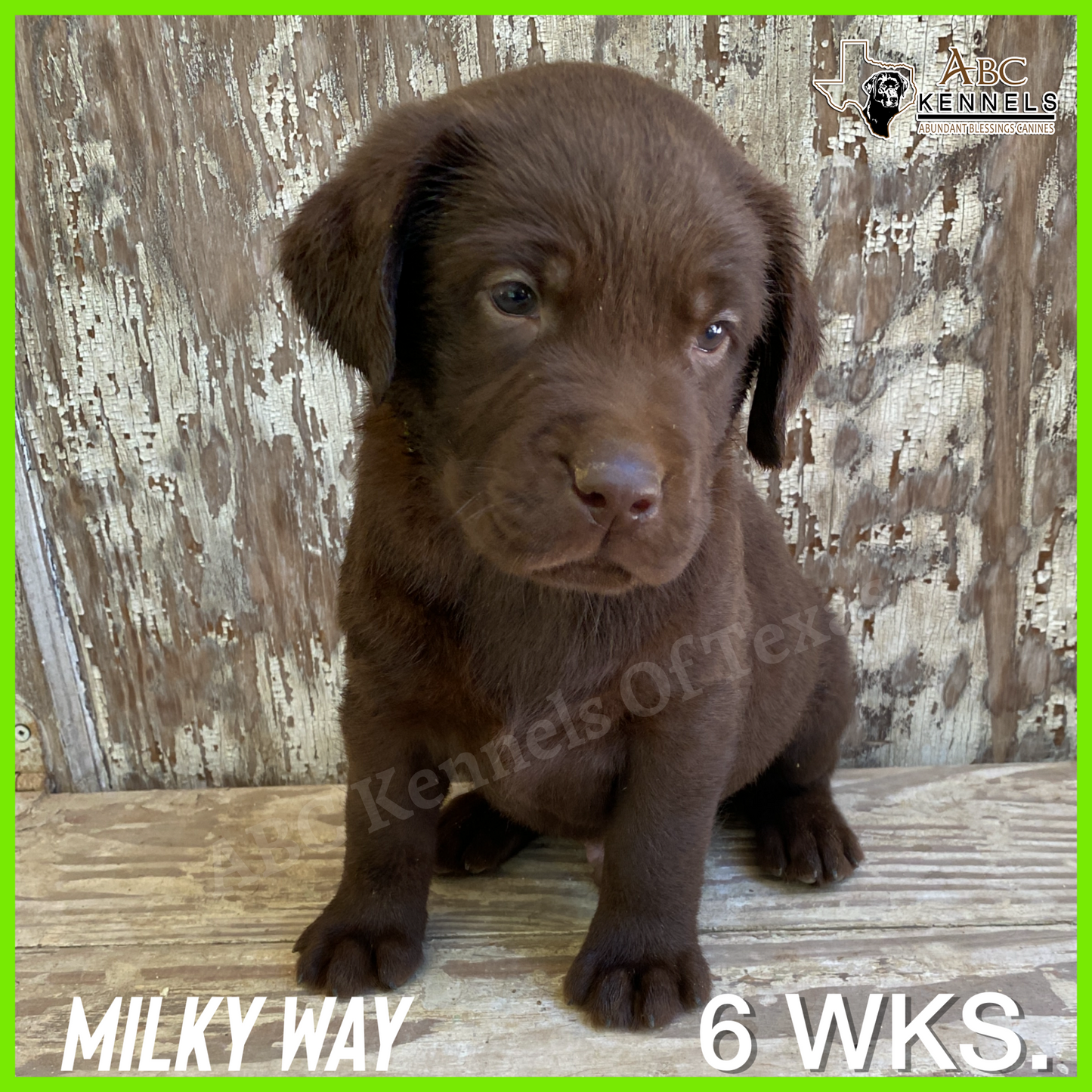Milky Way