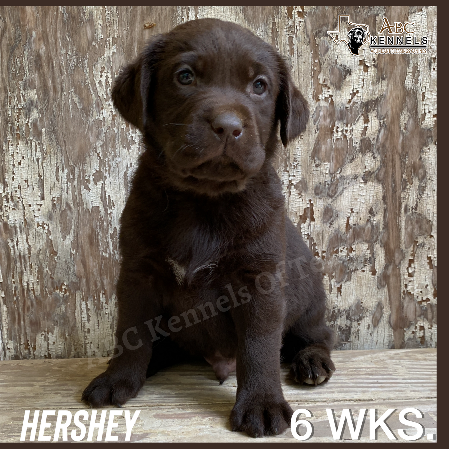 Hershey