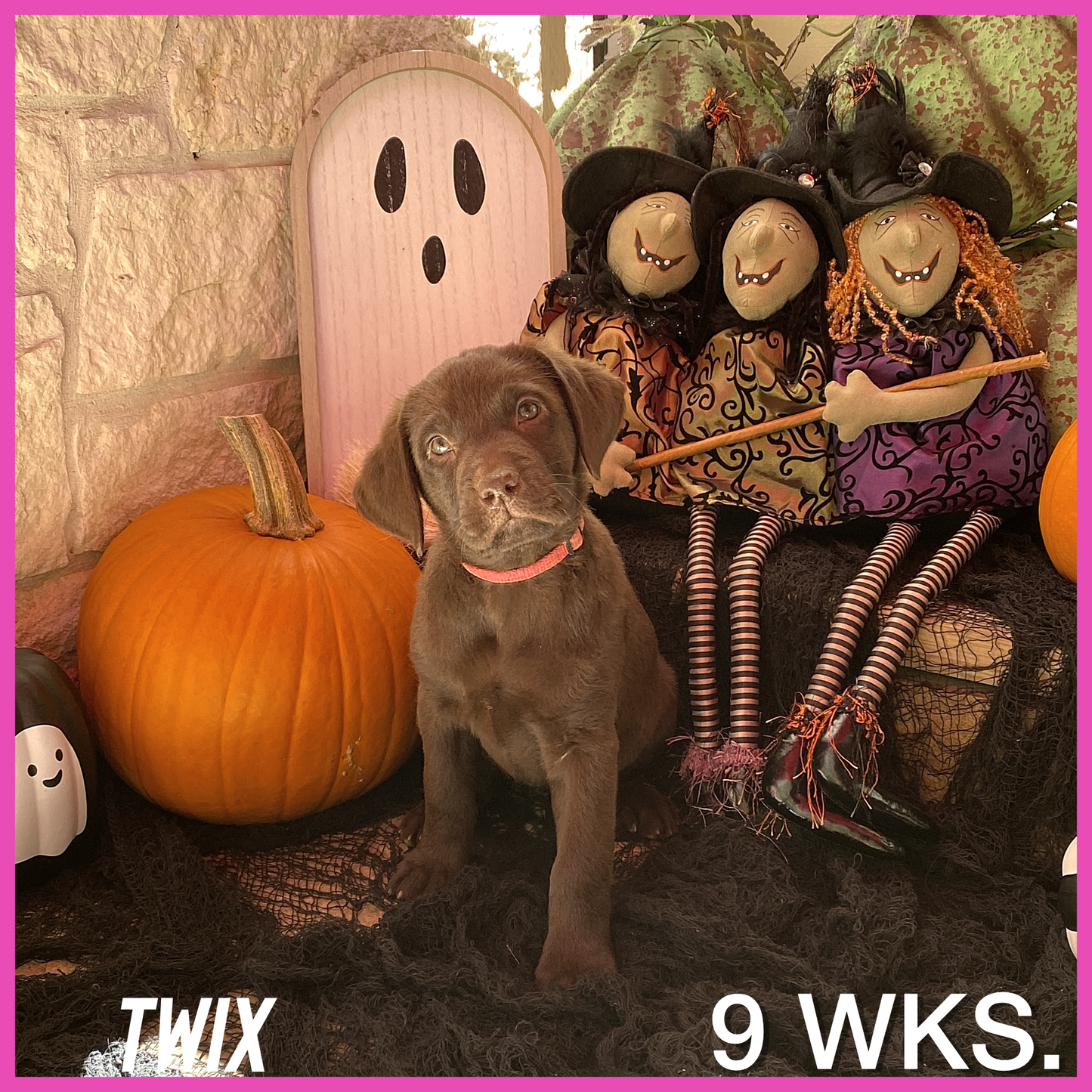 Twix