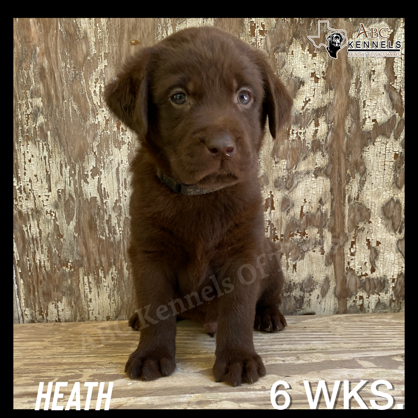 Heath