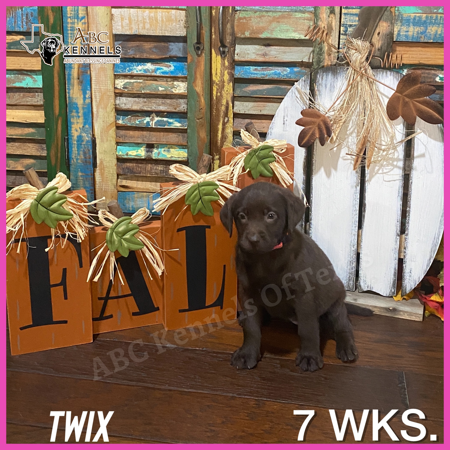 Twix