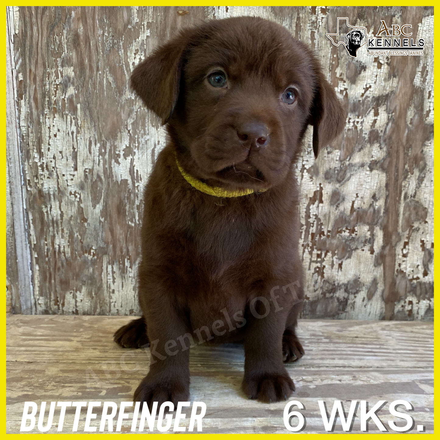Butterfinger