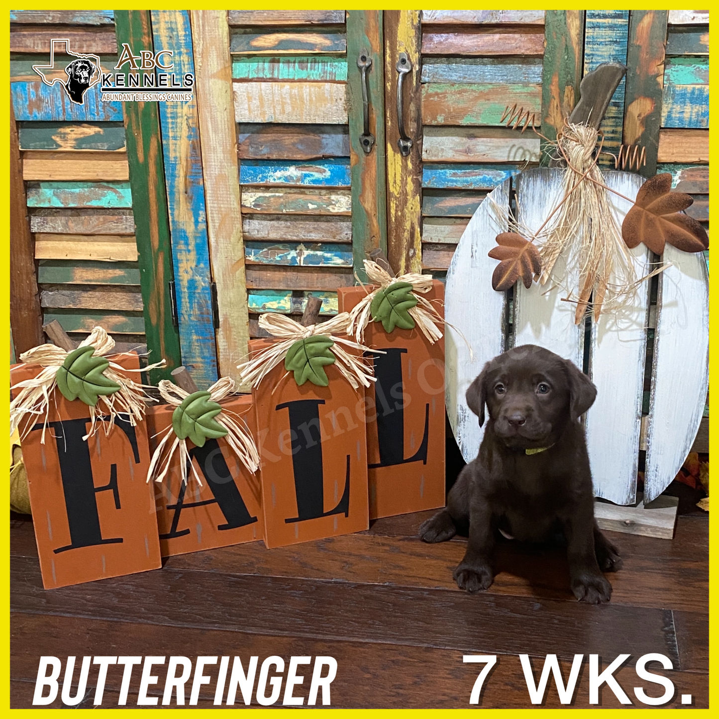 Butterfinger