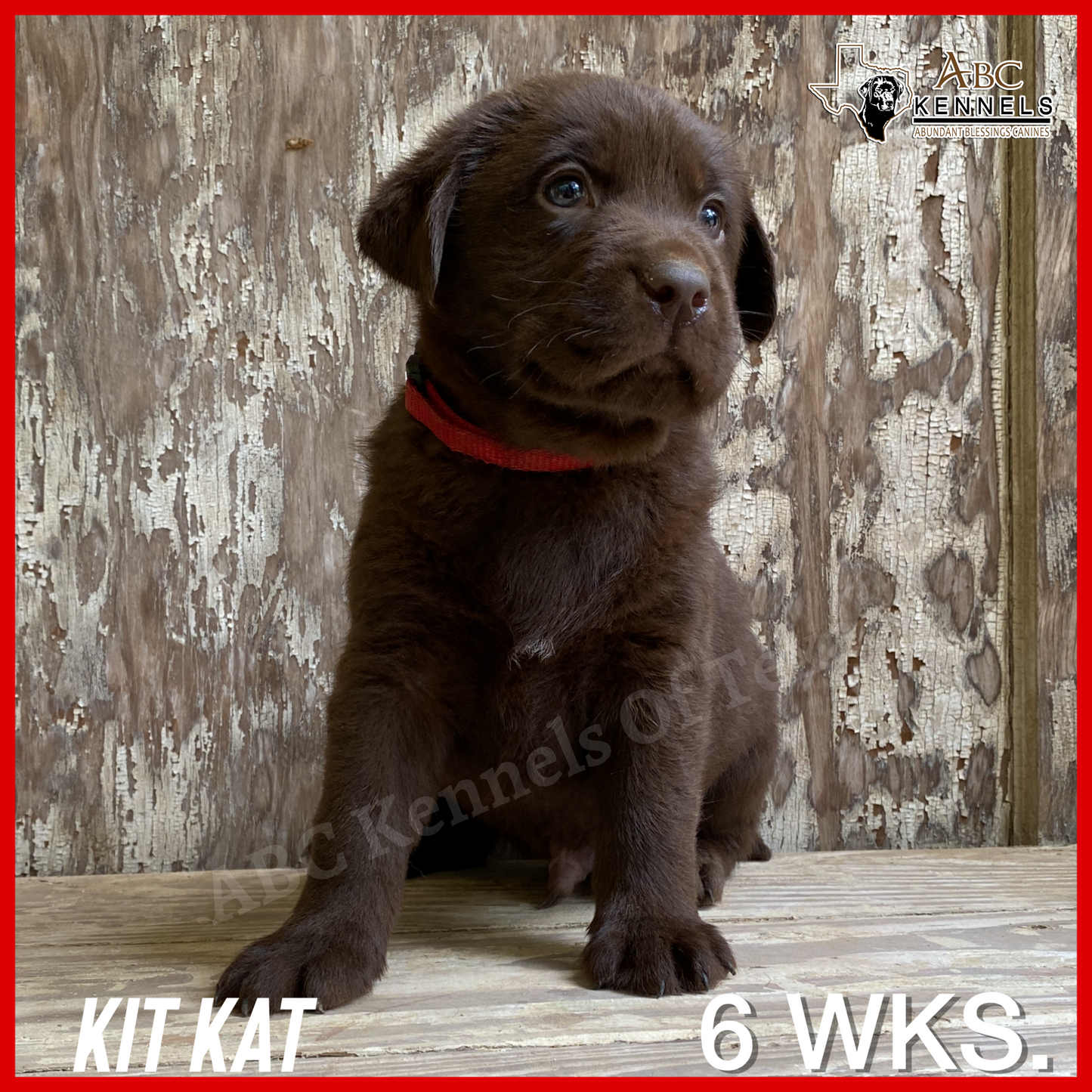 Kit Kat