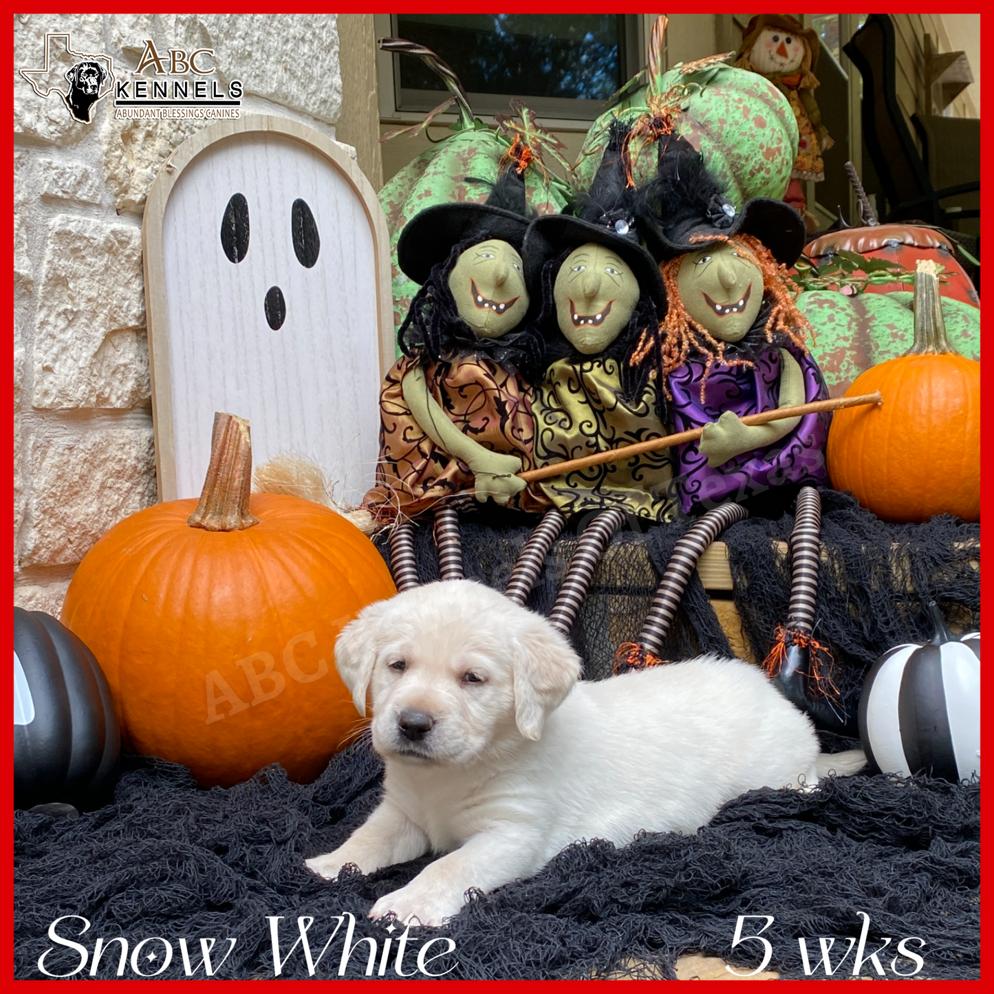 Snow White