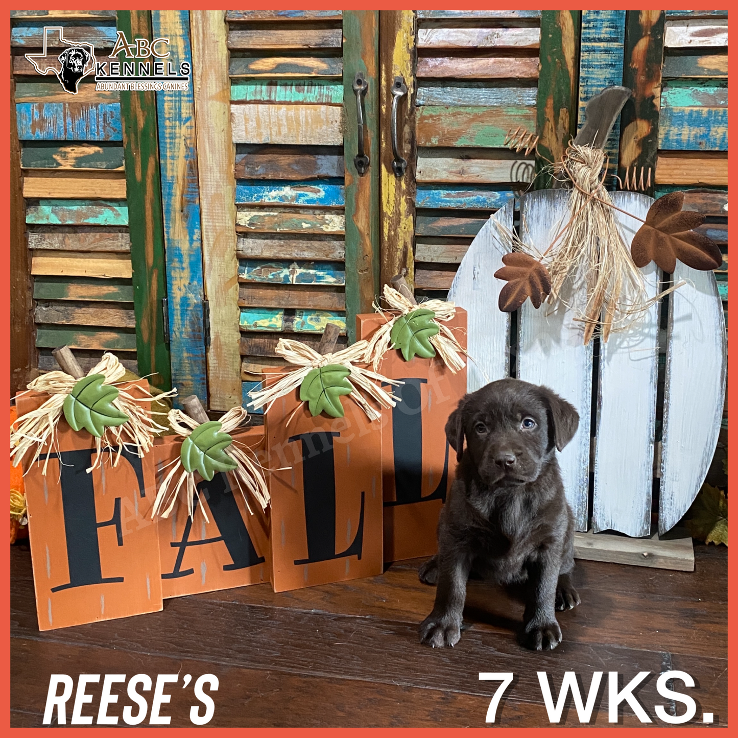Reese's