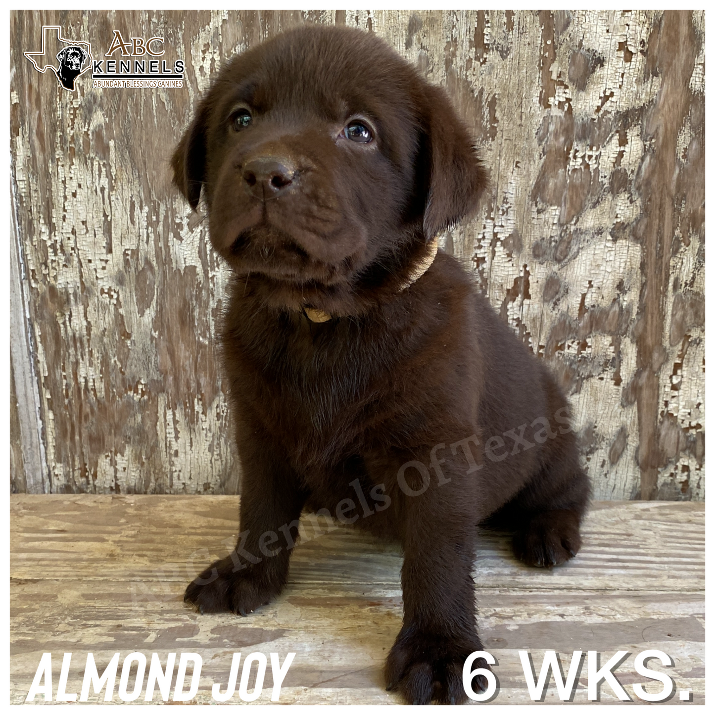 Almond Joy