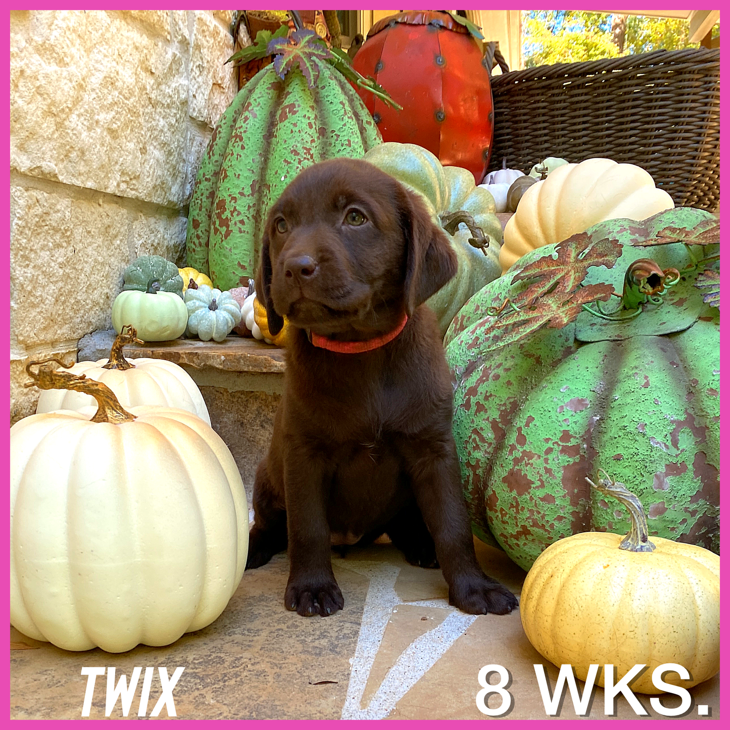 Twix