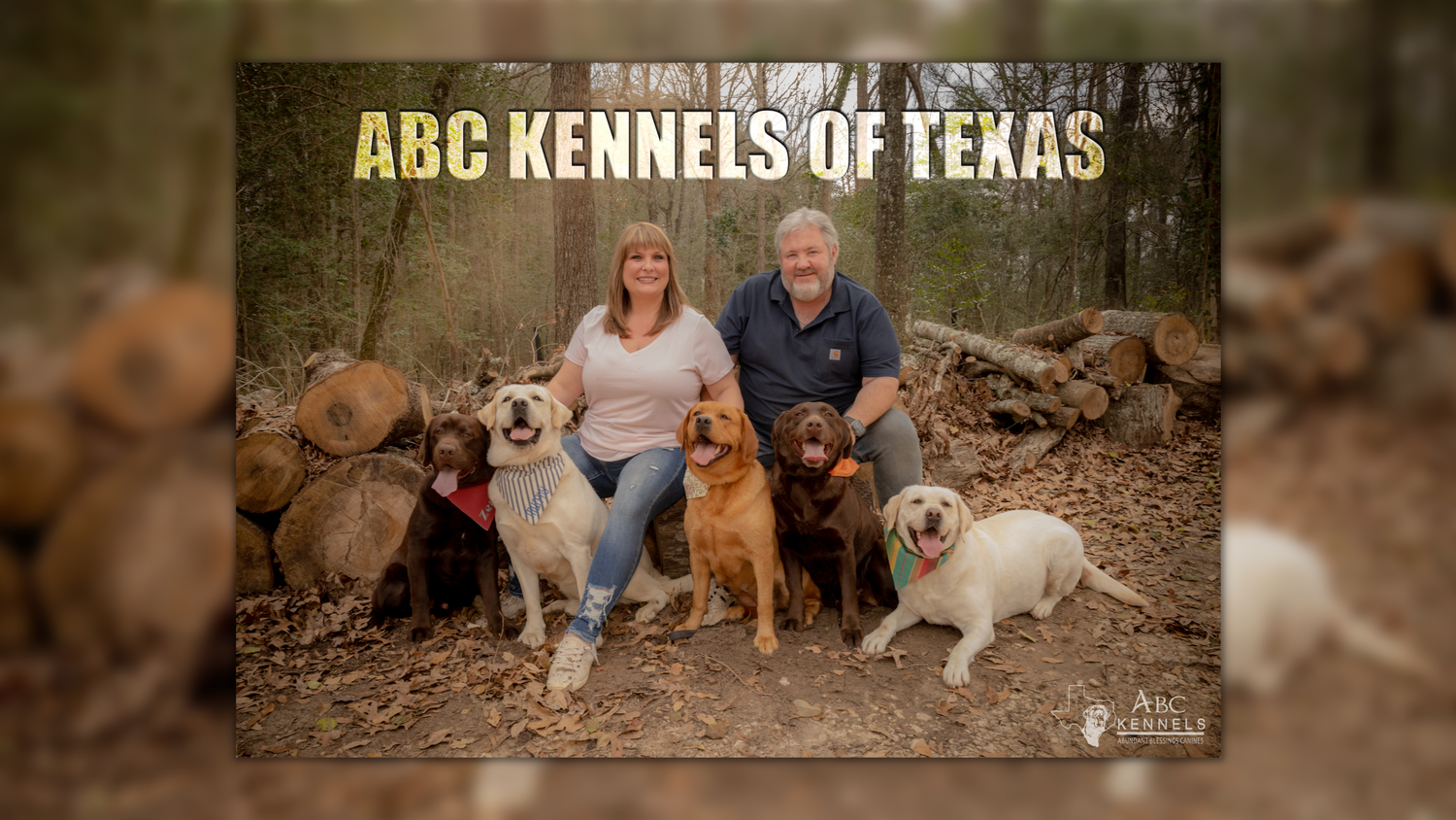 ABC Kennels of Texas owners Mike and Shannon Harris with their breed stock Labrador retrievers