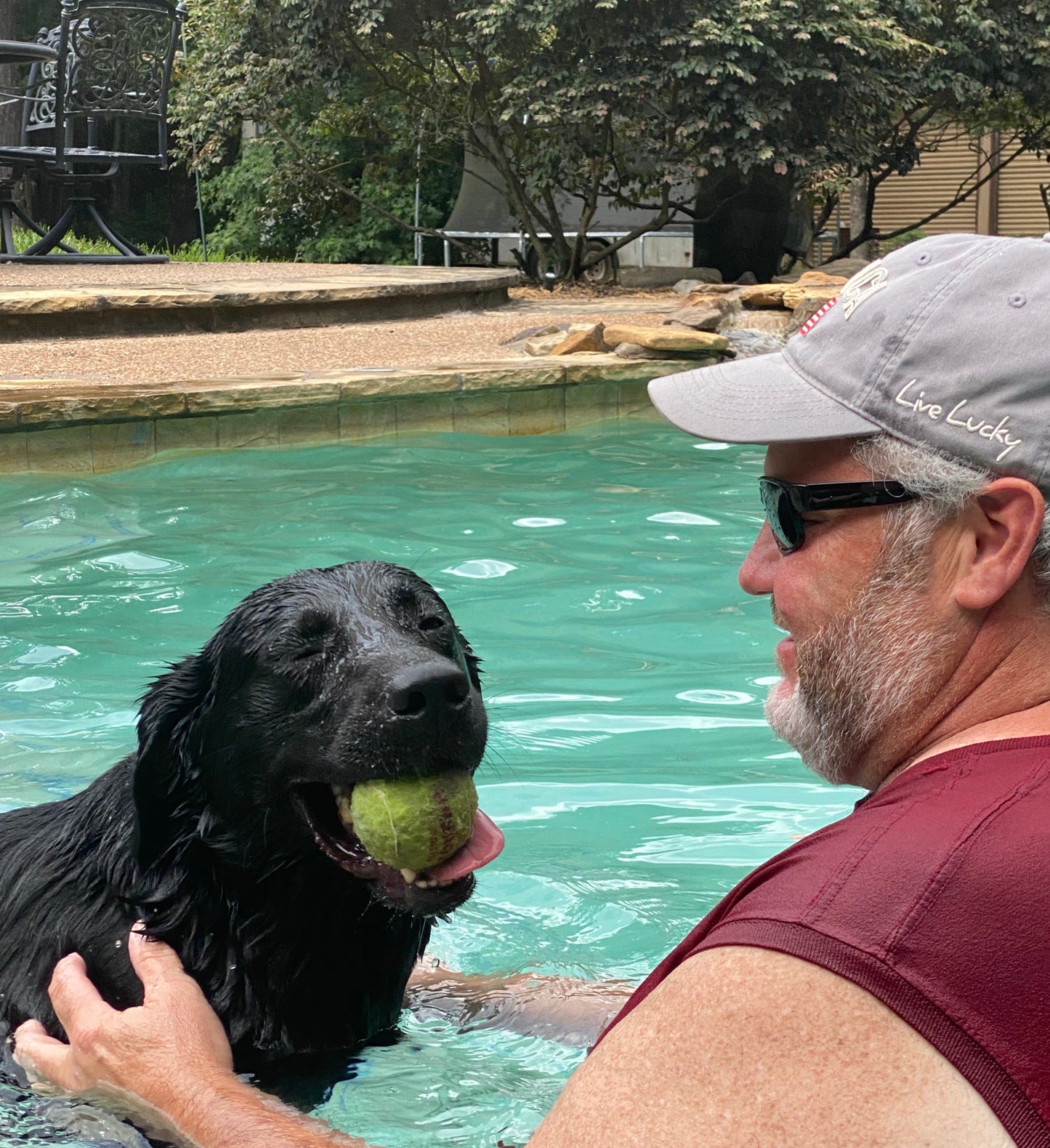 Black Labrador breeder dog named AMMO swimming in the pool