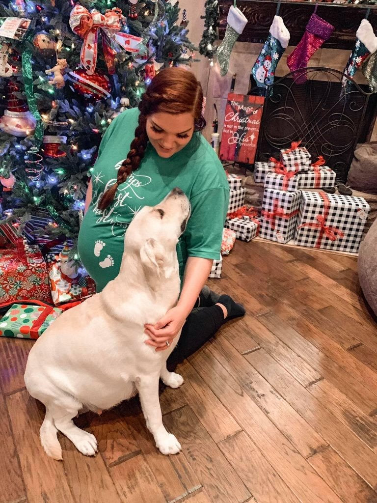 white Labrador breeder dog Aspyn ready for  Christmas