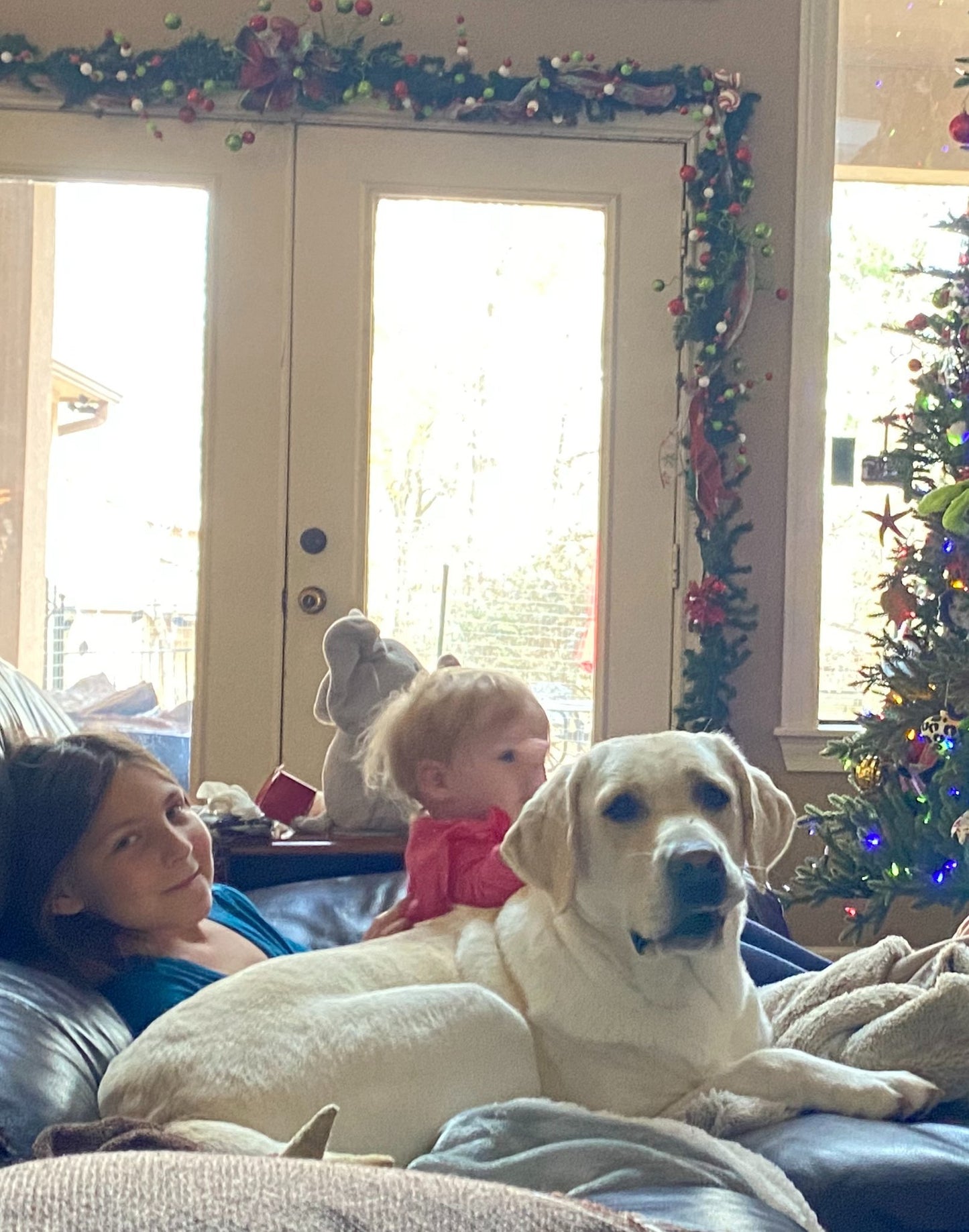 white Labrador breeder dog Aspyn ready for a movie with the kids